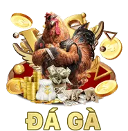 đá gà