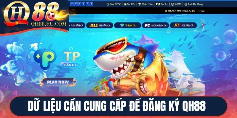 Dữ liệu cần cung cấp để đăng ký QH88