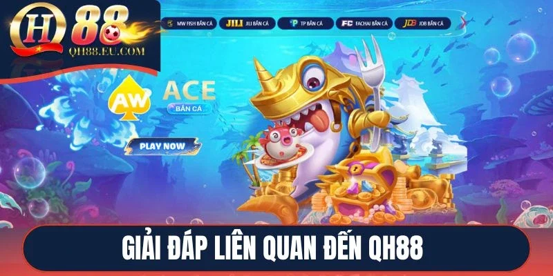 Giải đáp liên quan đến QH88
