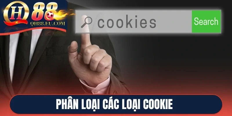 Phân loại các loại cookie