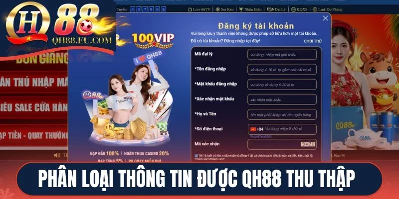 Phân loại thông tin được QH88 thu thập
