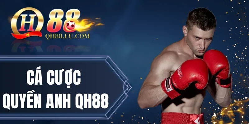 Cá Cược Quyền Anh QH88 - Thử Sức Cùng Các Trận Đấu Đỉnh Cao