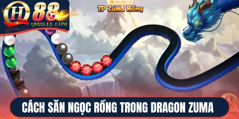 Cách săn ngọc rồng trong Dragon zuma