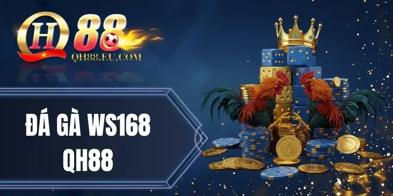 Điều khoản đặt cược đá gà tại WS168 QH88