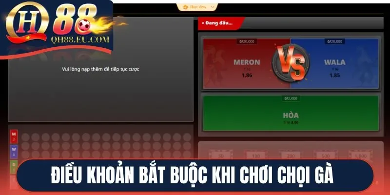 Điều khoản bắt buộc khi chơi chọi gà