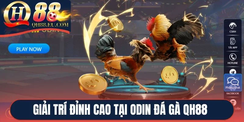 Giải trí đỉnh cao tại Odin Đá Gà QH88