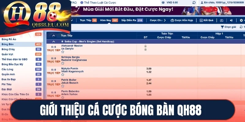 Giới thiệu cá cược bóng bàn QH88