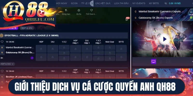 Giới thiệu dịch vụ cá cược quyền anh QH88