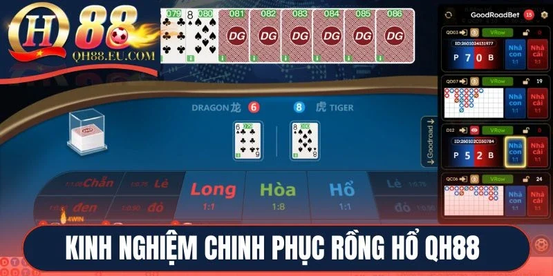 Kinh nghiệm chinh phục Rồng hổ QH88