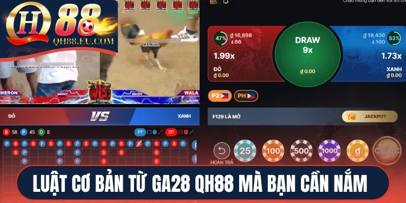 Luật cơ bản từ GA28 QH88 mà bạn cần nắm