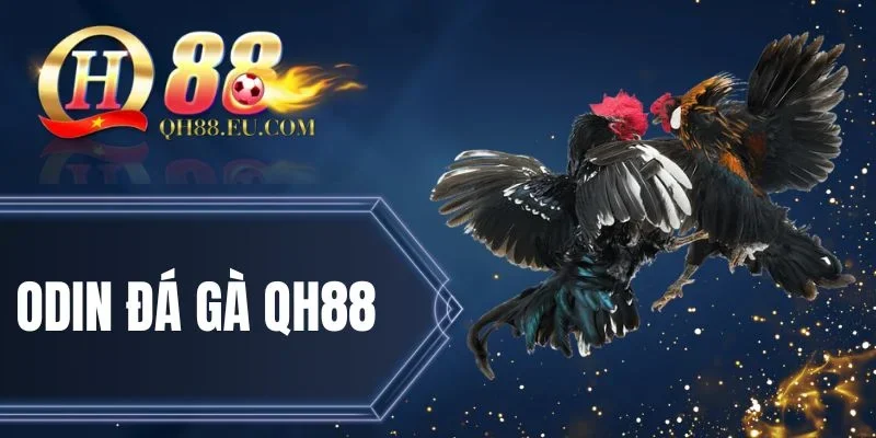 Quy định đối với người chơi đá gà QH88