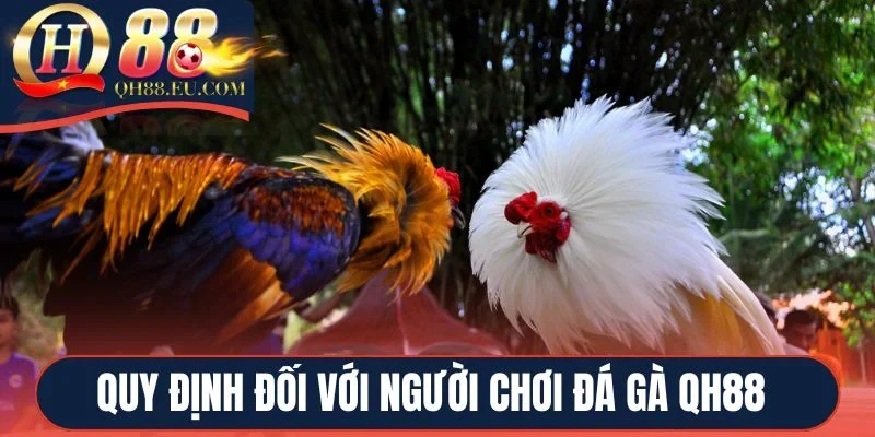 Quy định đối với người chơi đá gà QH88