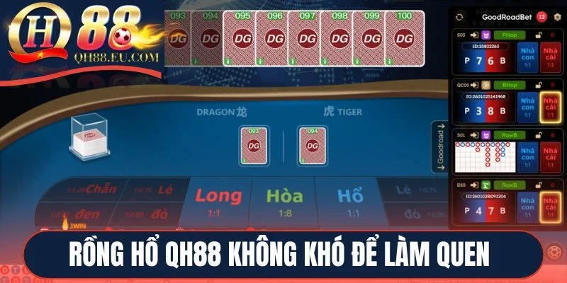 Rồng hổ QH88 không khó để làm quen