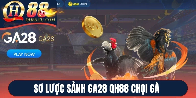 Sơ lược sảnh GA28 QH88 chọi gà