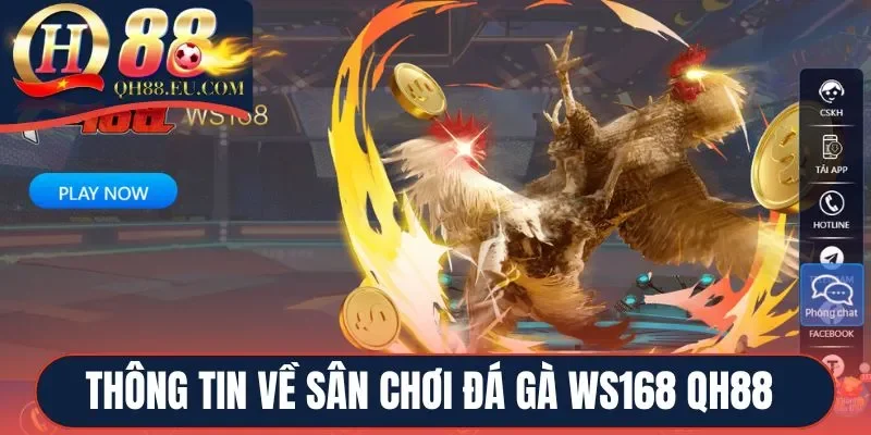 Thông tin về sân chơi đá gà WS168 QH88