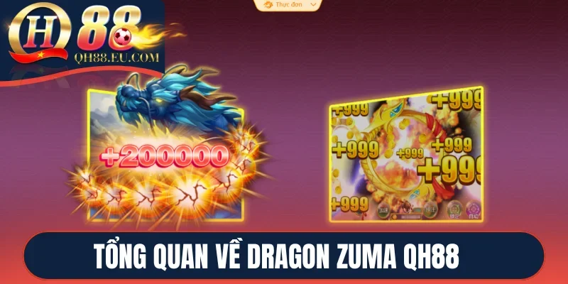 Tổng quan về Dragon zuma QH88 
